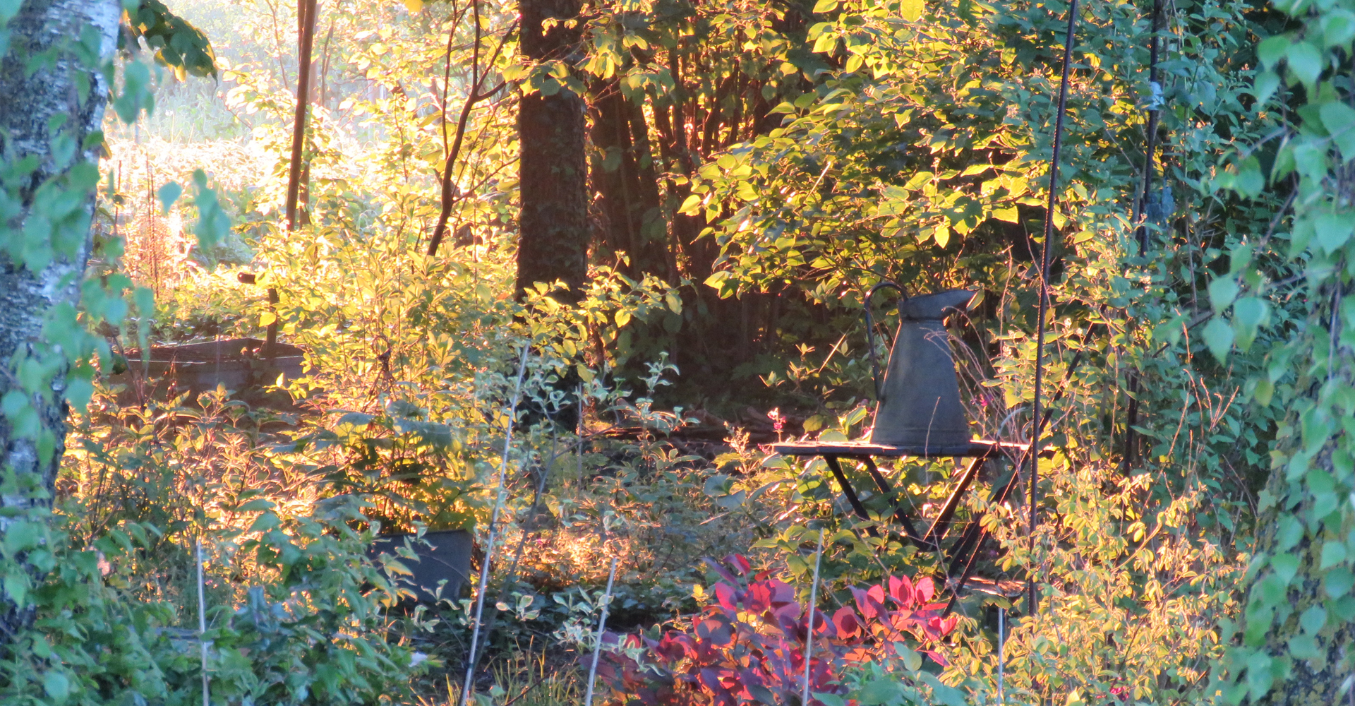 atelierdesmilletemps-projets-jardin-automne