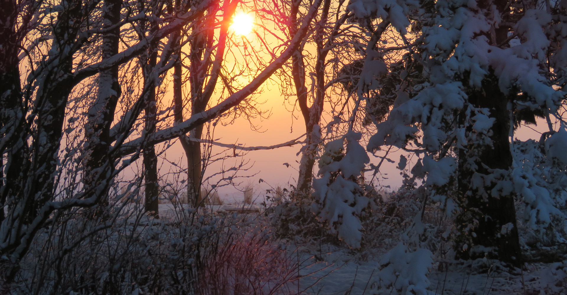 atelierdesmilletemps-projets-jardin-foret-hiver