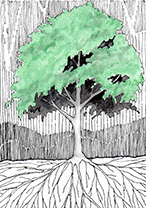 picto-arbre-atelierdesmilletemps