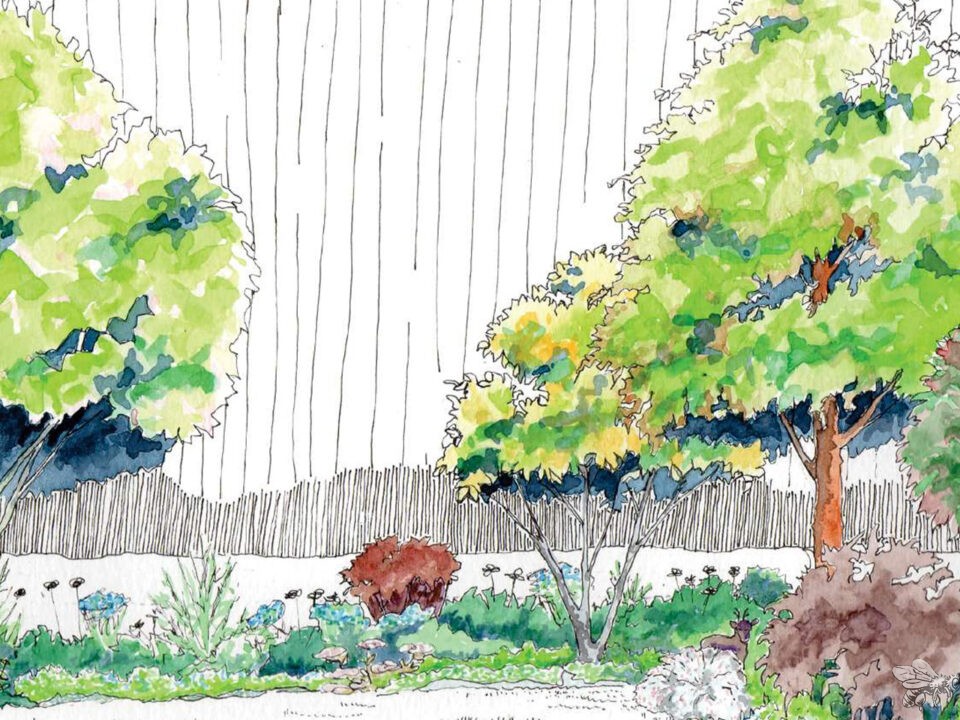 atelierdesmilletemps-image-portfolio-projet-ecrin-forestier