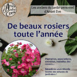 Atelier-jardin-andre-eve-septembre-2024-image