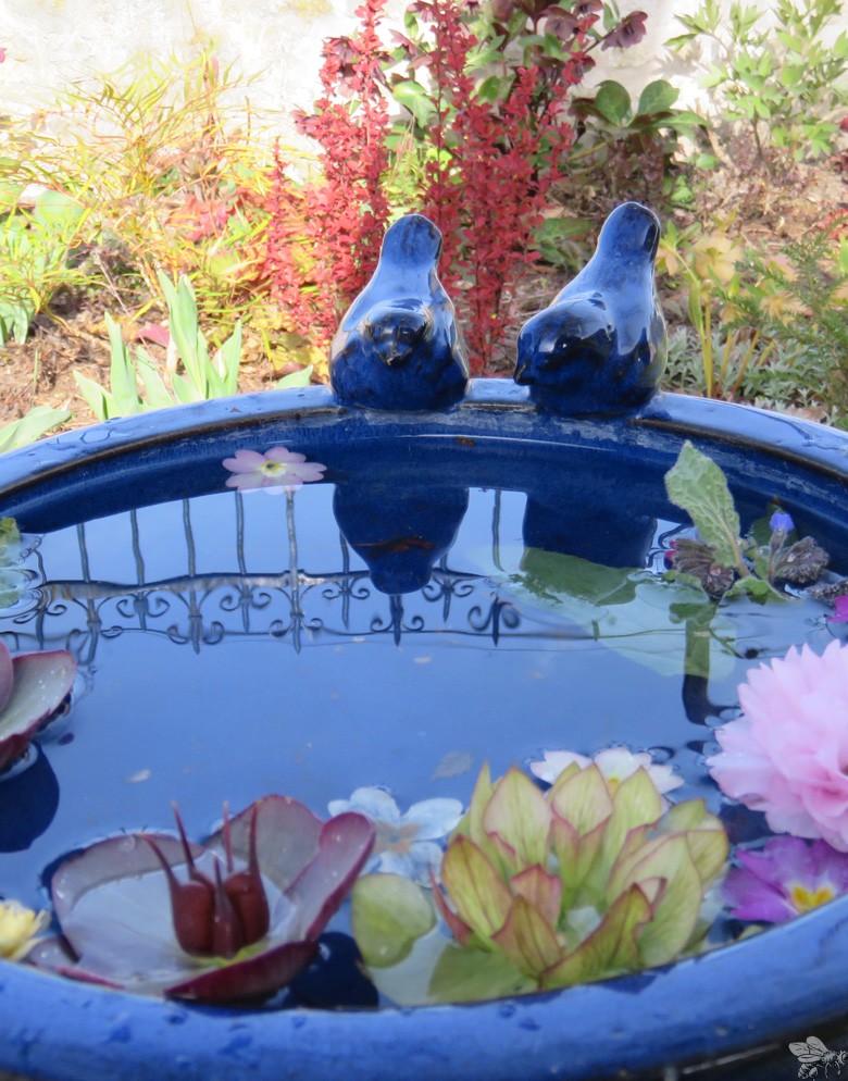 Atelierdesmilletemps-jardin-sur-mesure-coaching-oiseaux-780x994