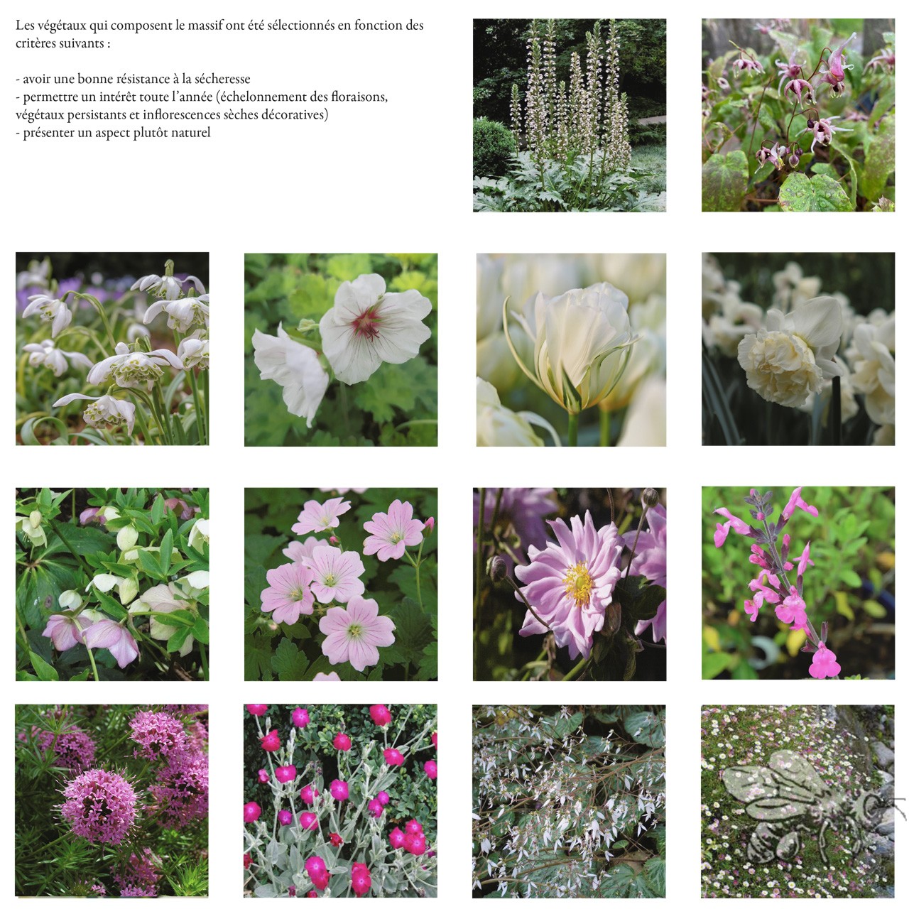 atelierdesmilletemps-image-portfolio-projet-trait-union-vegetaux
