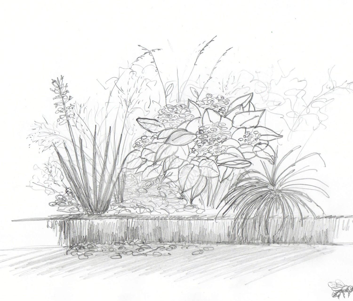 Atelierdesmillestemps-projet-jardin-fleuve-interieur-dessin-crayon-massif