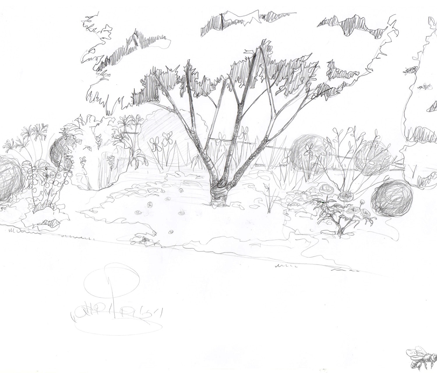 Atelierdesmillestemps-projet-jardin-fleuve-interieur-dessin-crayon
