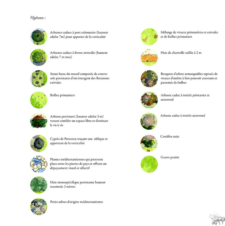 Atelierdesmillestemps-projet-entrelacs-bucoliques-plan-masse-vegetaux