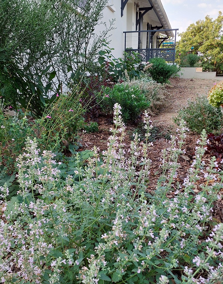 atelierdesmilletemps-image-portfolio-projet-trait-union-detail-du-massif-aout-2025