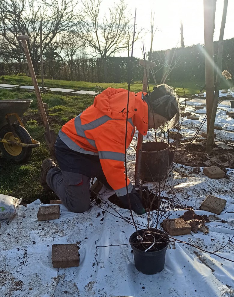 atelierdesmilletemps-image-portfolio-projet-trait-union-plantation-des-arbustes